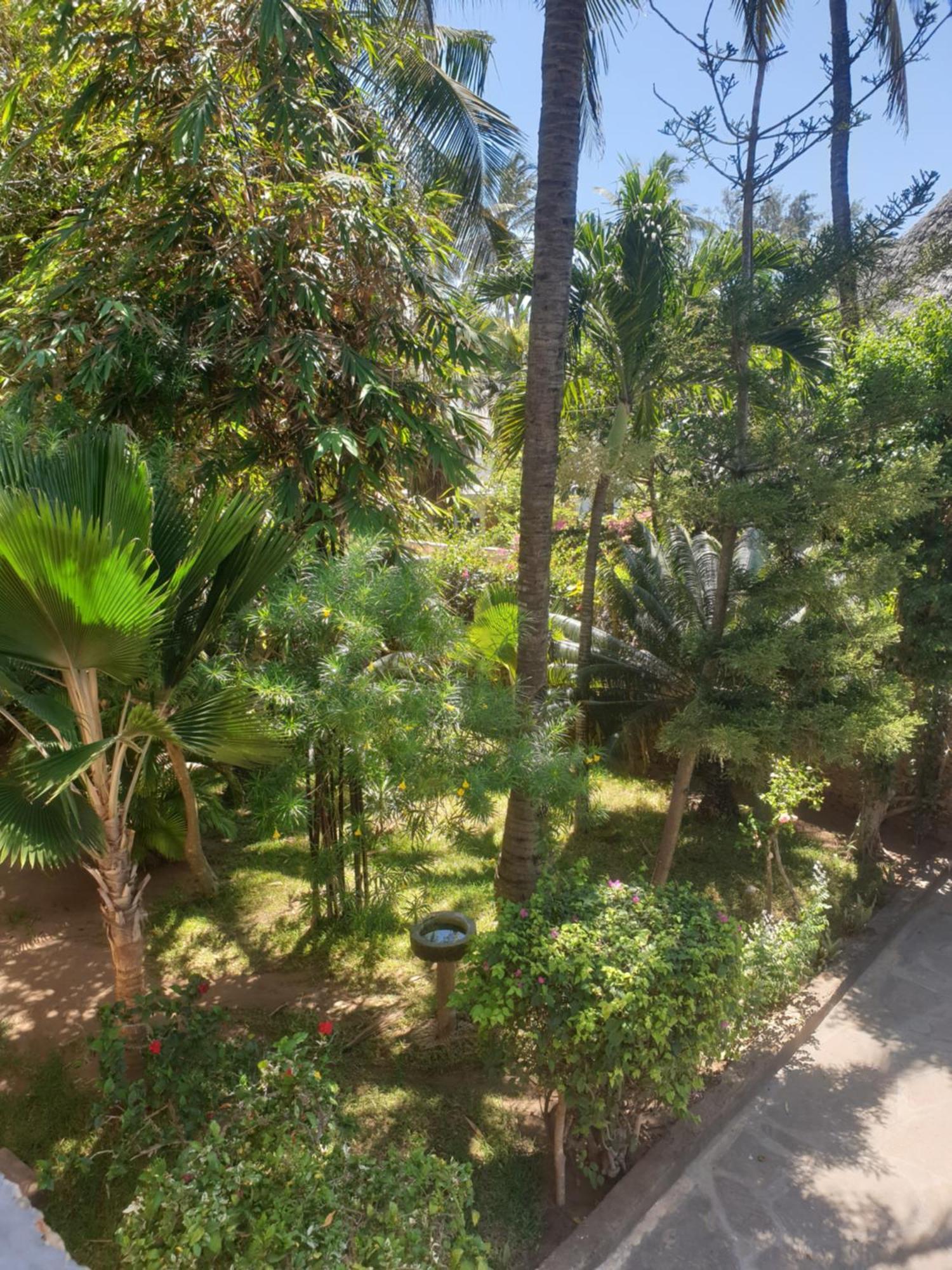 Marijani Holiday Resort ワタム エクステリア 写真