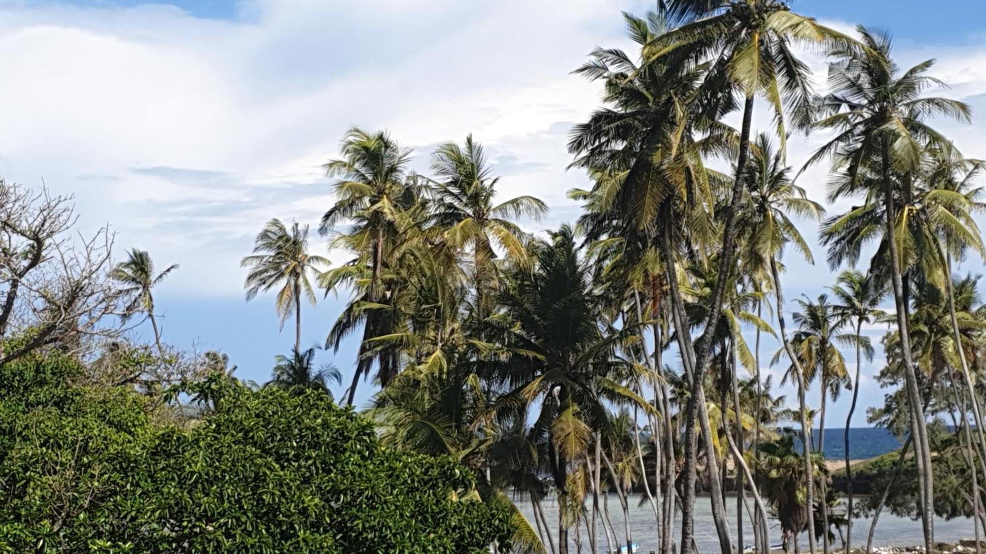 Marijani Holiday Resort ワタム エクステリア 写真